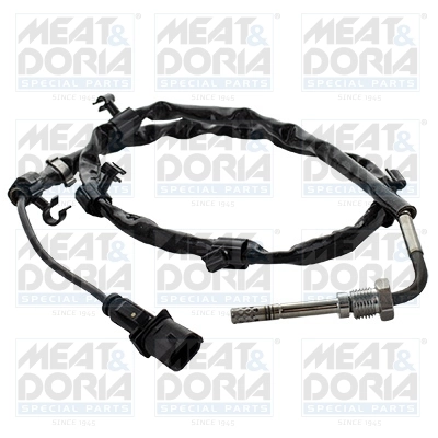 Sensor, exhaust gas temperature